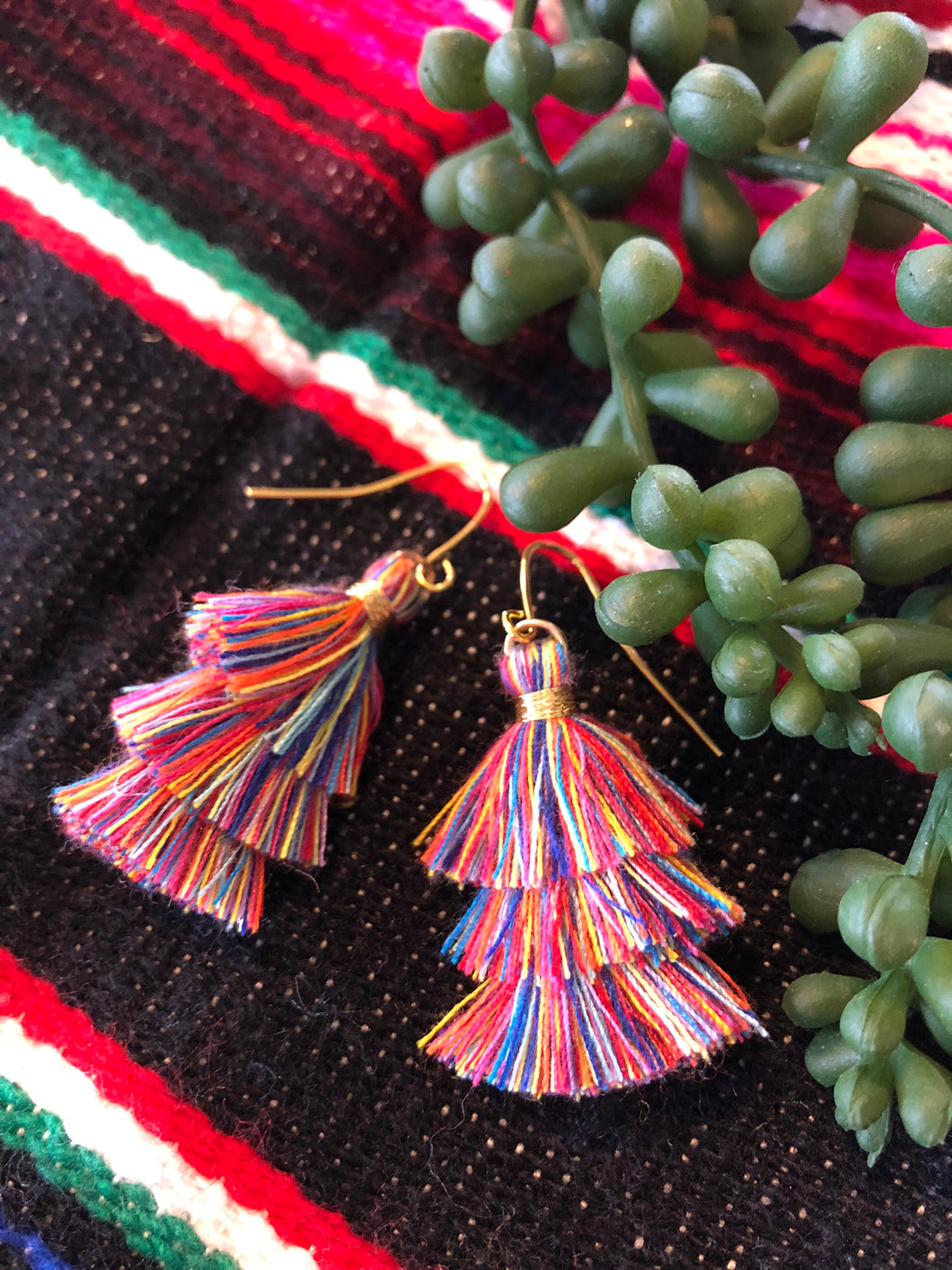 HOT! Multi Color Tassel Earrings